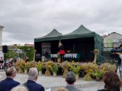 IMG_20170902_141611