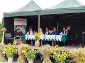 IMG_20170902_151813