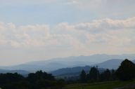 DSC_7690