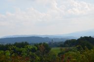 DSC_7695