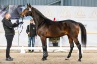 AGIAS_AA_-_Emark_-_Agrykola_--_Dyvisior_xx_-_SK_Janów_Podlaski_9-A__kopia
