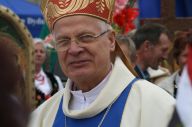 domaradz24_max