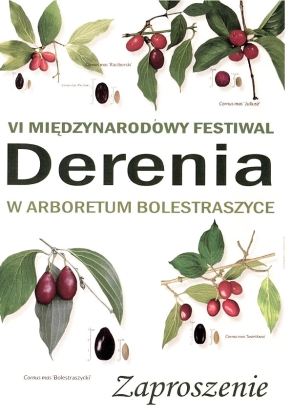 Derenia