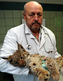 Andrzej Fedaczynski