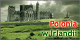 polonia w irlandii